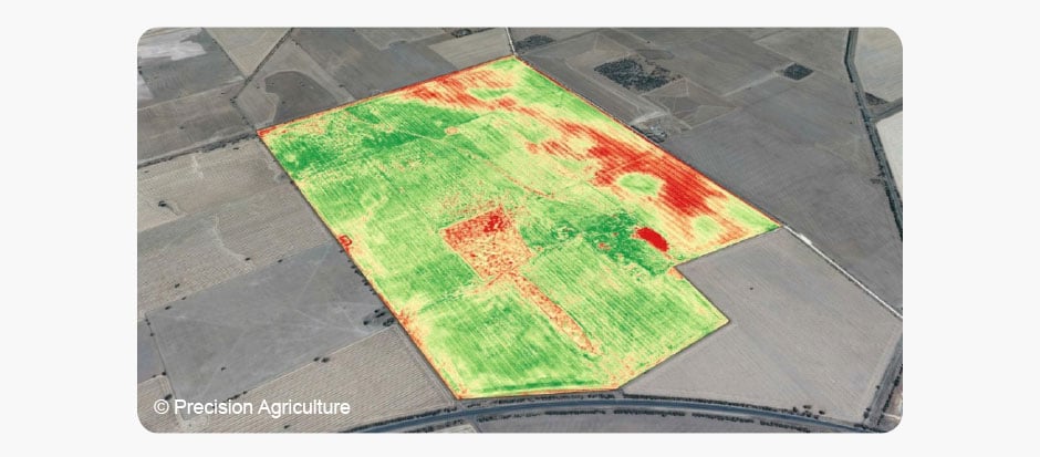 Pinpoint the problem with weed mapping