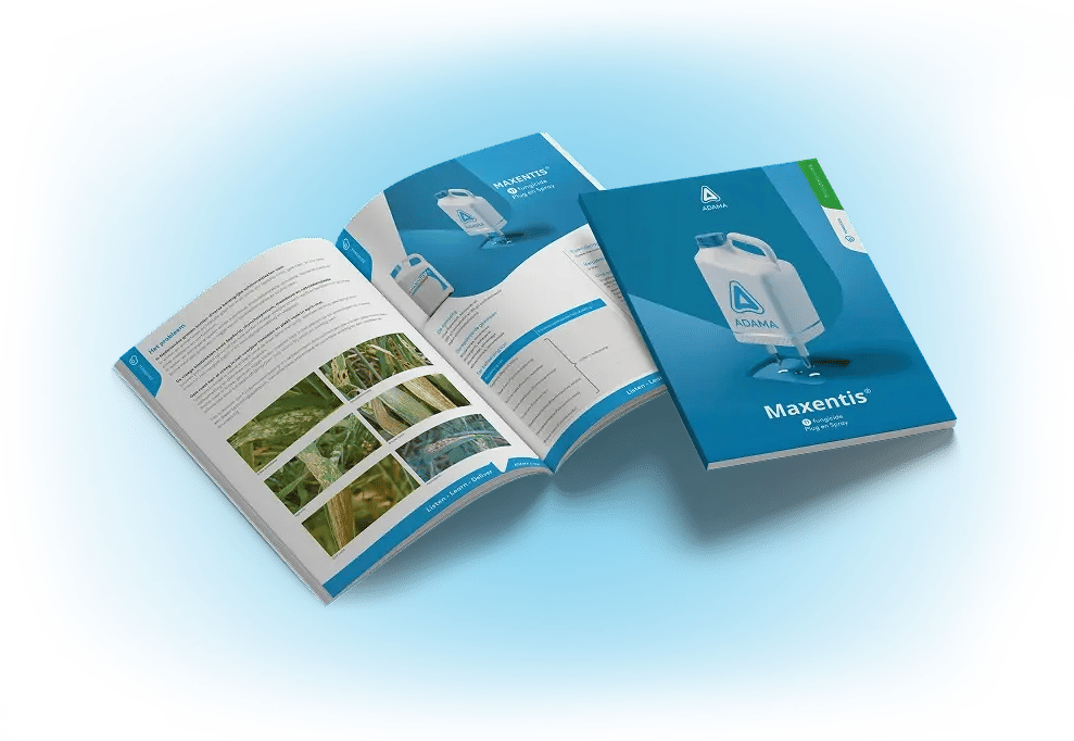 Mockup-Maxentis-with-shadow