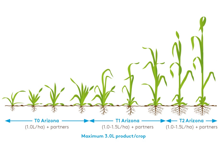 The Importance of Multi-site Fungicides