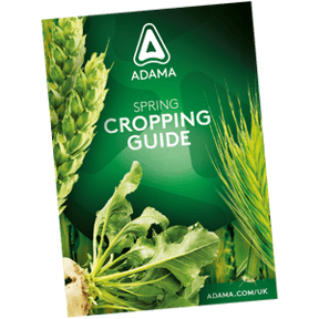 Spring Cropping Guide