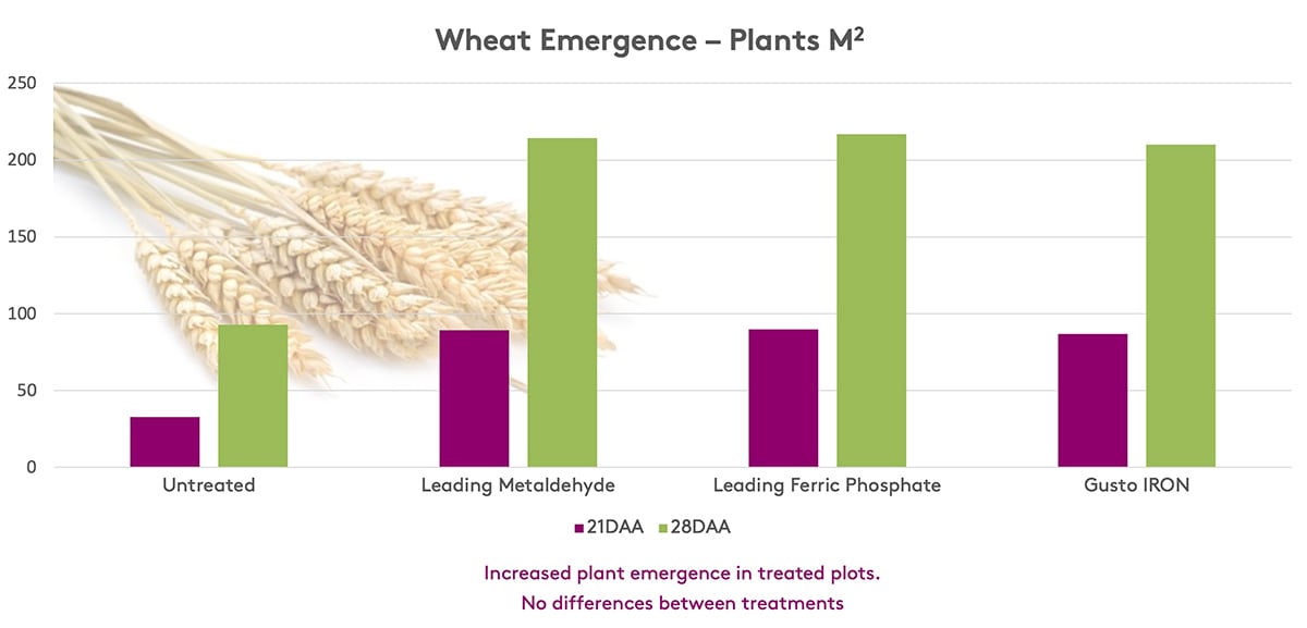 Wheat Emergence Graph