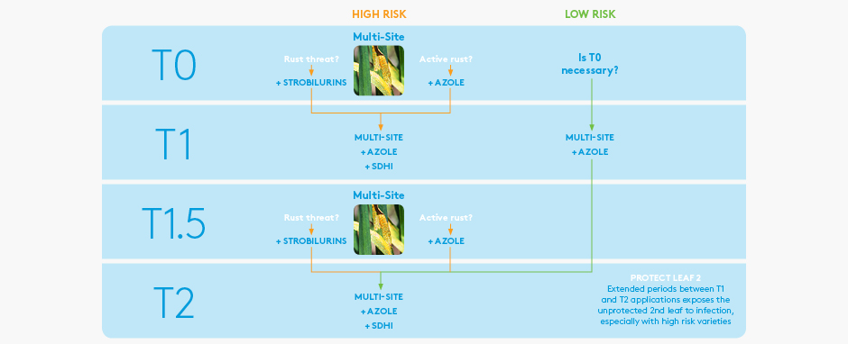 Example fungicide programmes for low and high risk septoria situations